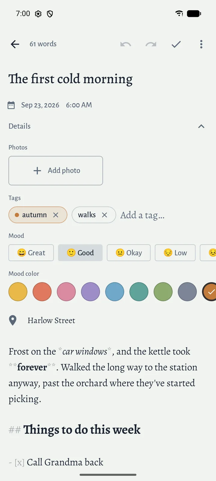 An entry's details: its date and time, tags with auto-complete, a mood, a mood color and a place.